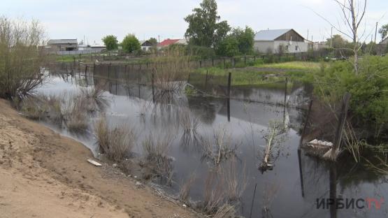 «Там болото стоит»: огороды жителей Кенжеколя ушли под воду после разлива Иртыша